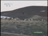 人与自然 《人与自然》 20130111 自然启示 天生猎手