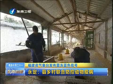 东南晚报 《东南晚报》 20141212