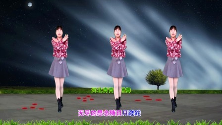 广场舞《有一种爱叫网络情缘》32步附教学