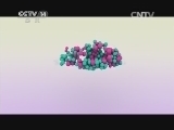 智慧树 《智慧树》 20140723