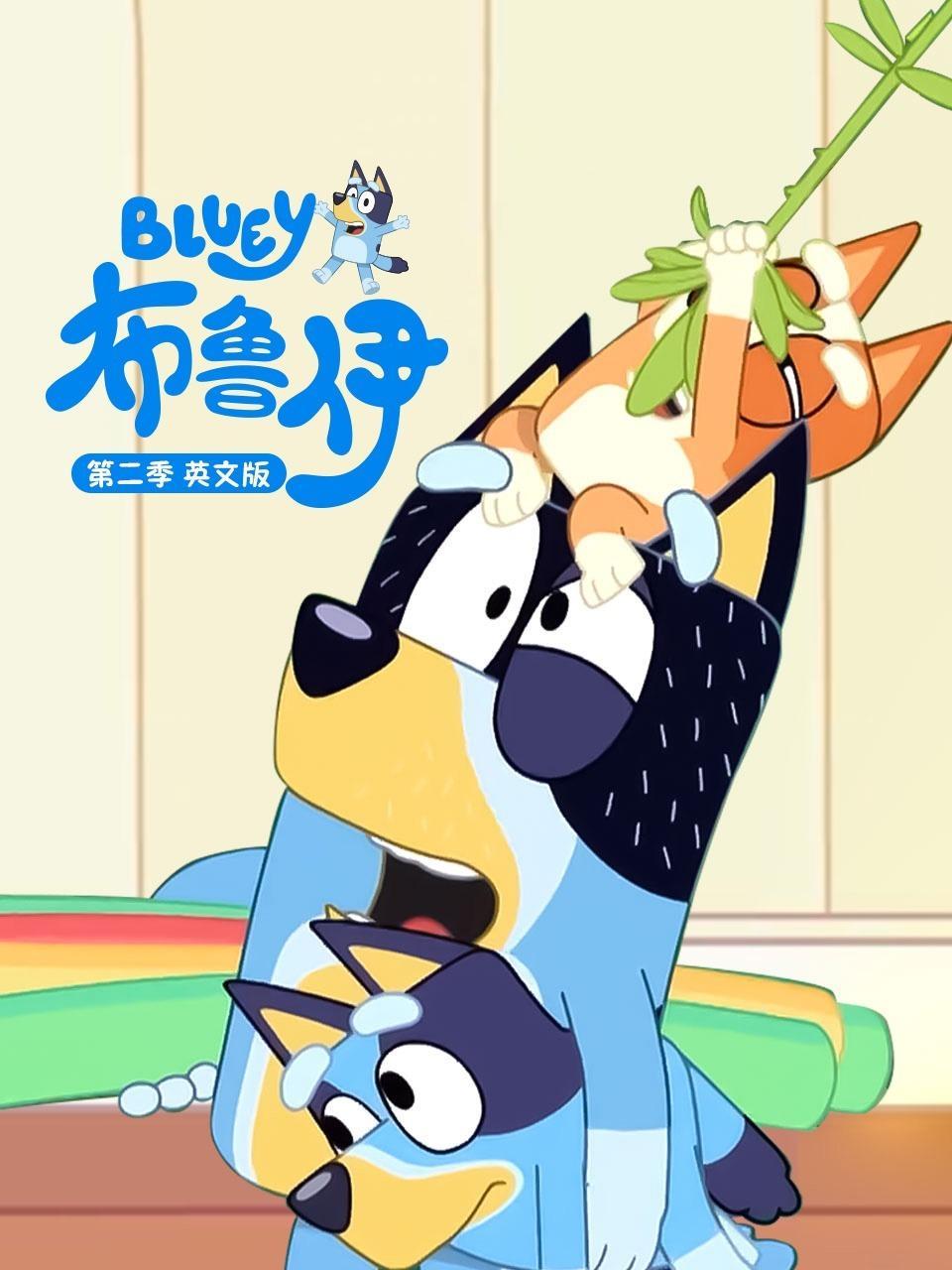 布鲁伊 第二季 英文版