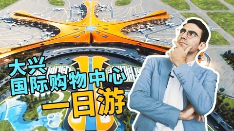 歪果仁研究协会 800亿的大兴机场怎么样