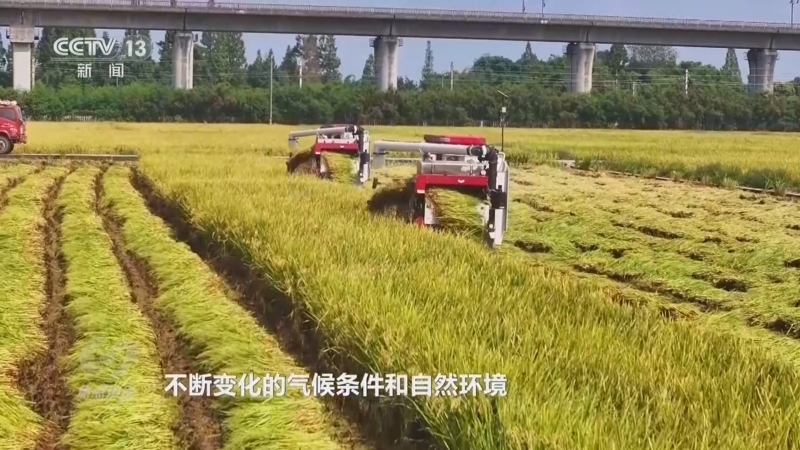 《焦点访谈》 20260918 闯关水涝保秋粮