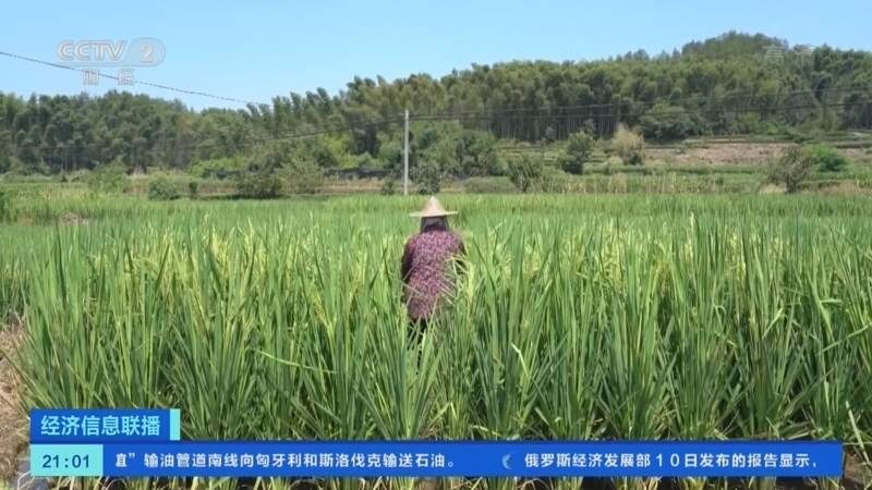 经济信息联播 《经济信息联播》 20220811