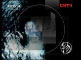 动物世界 《动物世界》 20110907