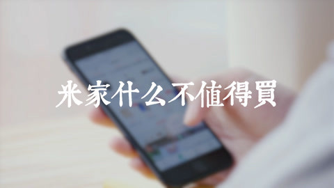 FView 米家什么不值得买