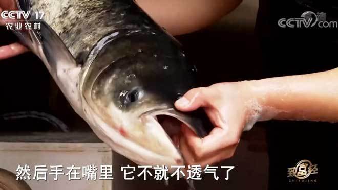 致富经 《致富经》 20200929 我想做个英雄爸爸
