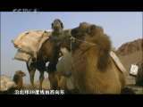 远方的家 巅峰体验-穿越极限