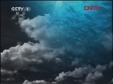 人与自然 《人与自然》 20120203 人物亲历——与狼为伴（下）