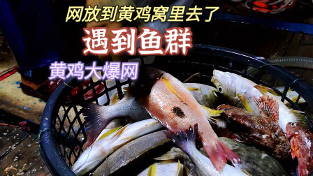 南澳岛赶海日记 彪哥把网放到黄鸡窝里面去了，遇到了鱼群，来了个海鲜大爆网