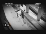 天网 《天网》 20140904 情感漩涡
