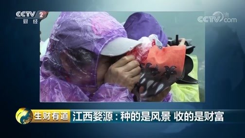 生财有道 《生财有道》 20190418 咱们家乡春天美 江西婺源：种的是风景 收的是财富