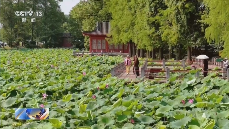 新闻直播间 《新闻直播间》 20260726 13:00