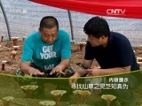 走近科学 《走近科学》 20150915 寻找仙草之灵芝知真伪