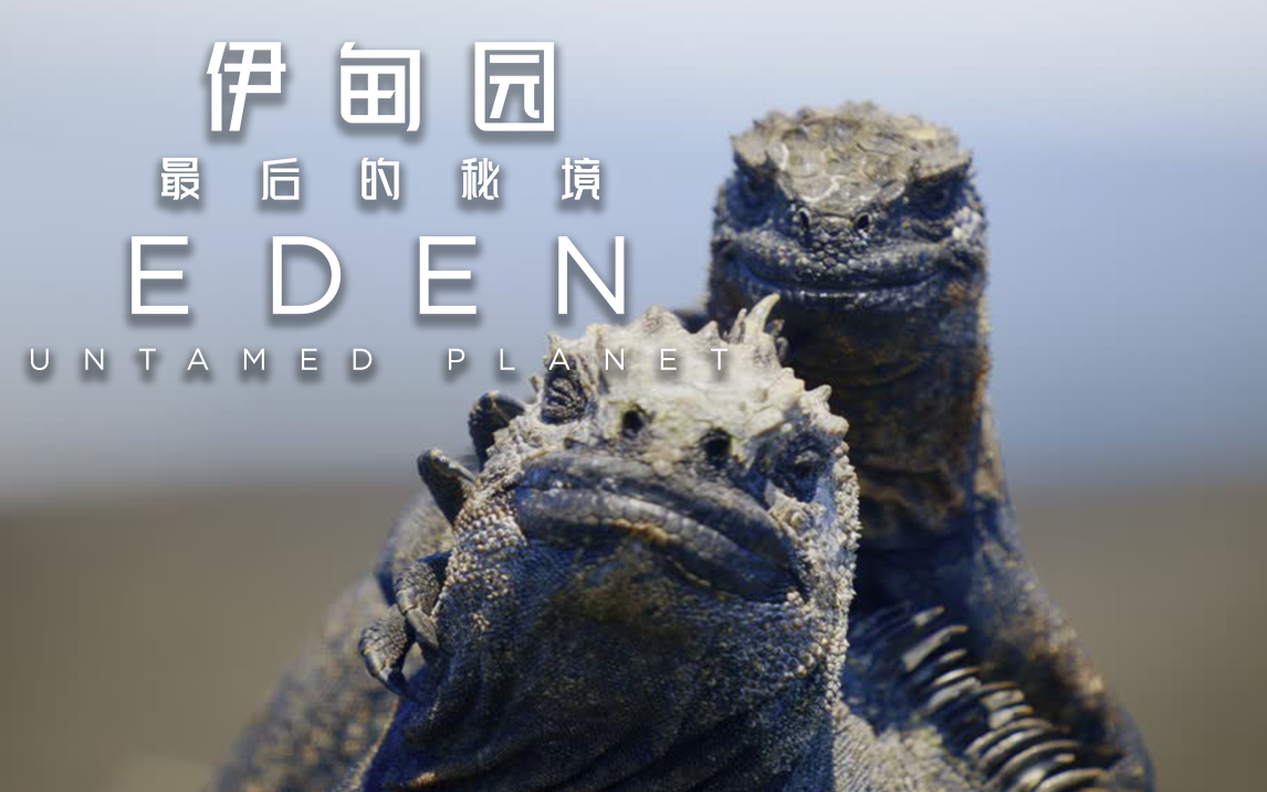 加拉帕戈斯群岛