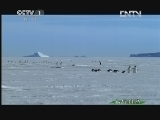 人与自然 《人与自然》 20130318 自然发现 冰雪融化（上）