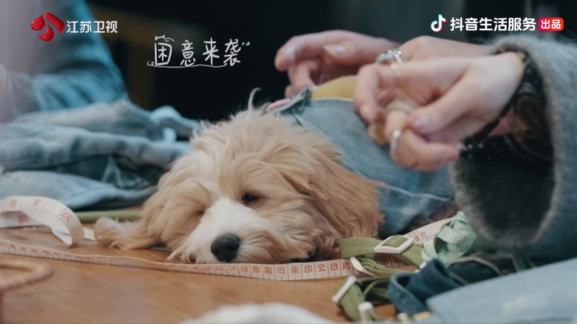 可爱的旅行 第1期