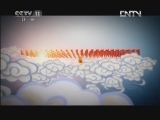 青春戏苑 《一战成功》 20120828 半决赛第四场