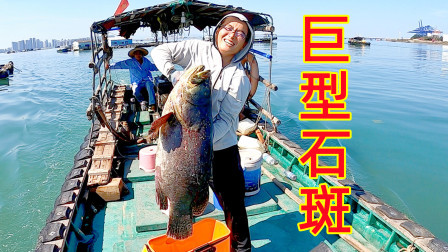 思乡渔夫赶海 朋友钓条40多斤巨型石斑，渔夫连忙包下寄给老爸，快递费都花了300多
