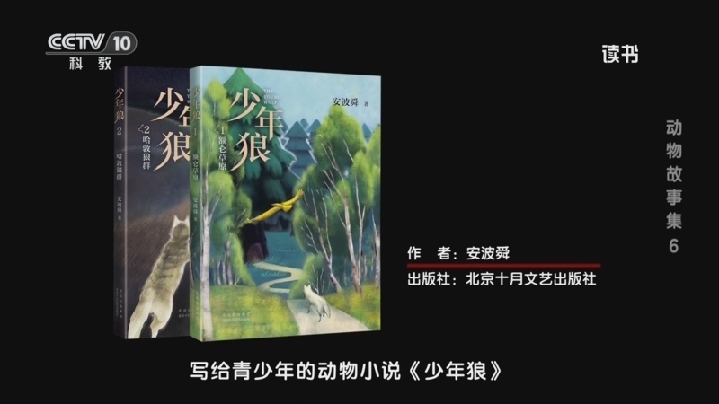 读书 《读书》 20260613 安波舜 《少年狼》 动物故事集6