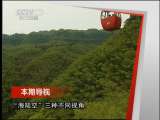 远方的家 《远方的家》 20110630 夏日到宜宾来看“海”