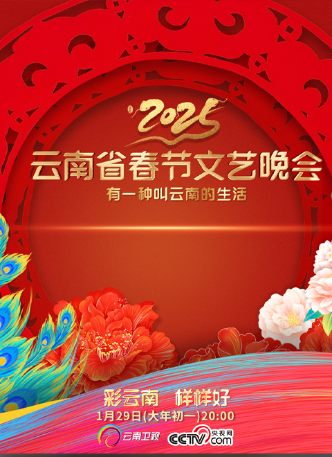 2025年云南省春节文艺晚会 海报