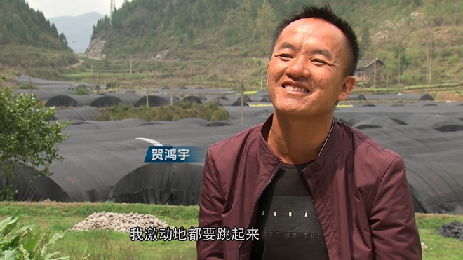 致富经 [致富经]他用3个月 让土里长出1200万 20180523