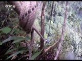 地理中国 《地理中国》 20160614 神坑探秘（下）