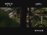 动物世界 《动物世界》 20131130 我为毒蛇狂