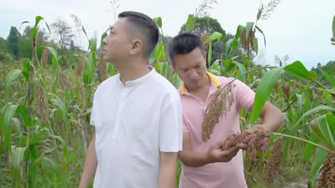 与梦想合拍 红高粱火日子