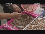 消费主张 《消费主张》 20150306 一方水土一方味——随心所欲 海鲜边炉