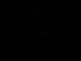 第一时尚 《第1时尚》 20170917