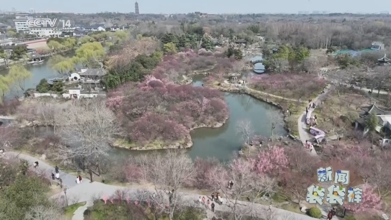 《新闻袋袋裤》 20260402