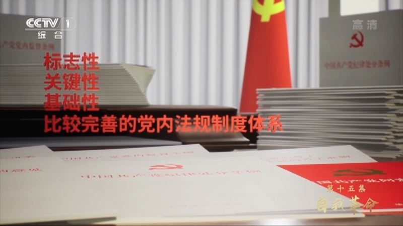 《领航》 第15集 自我革命