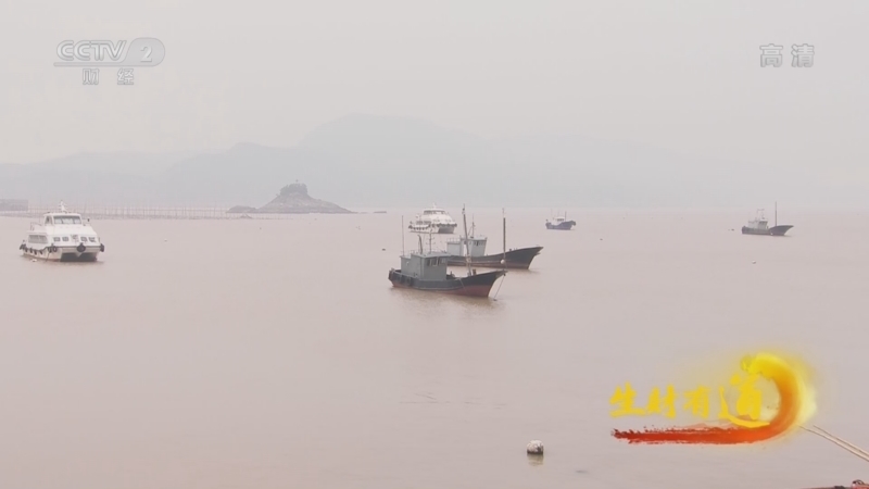 生财有道 《生财有道》 20220627 生态中国沿海行——海上鲈鱼美 渔家紫菜鲜