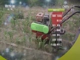 我爱发明 《我爱发明》 20170630 花生豆腐记