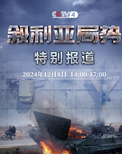 特别报道：叙利亚局势 海报