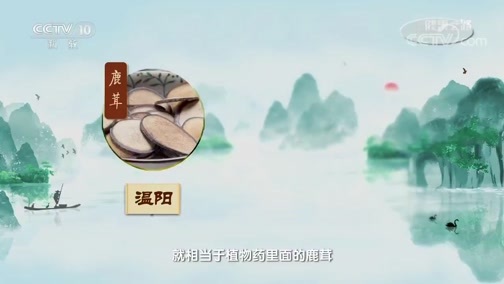 健康之路 《健康之路》 20190912 一方水土一方药——肉桂