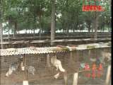 县域经济报道 《县域经济报道》 20111020