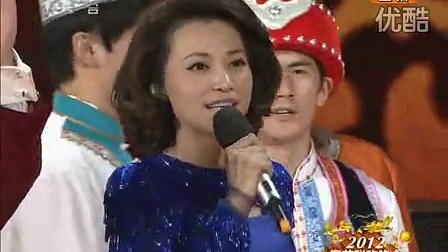 中央电视台春节联欢晚会 2012 零点倒计时