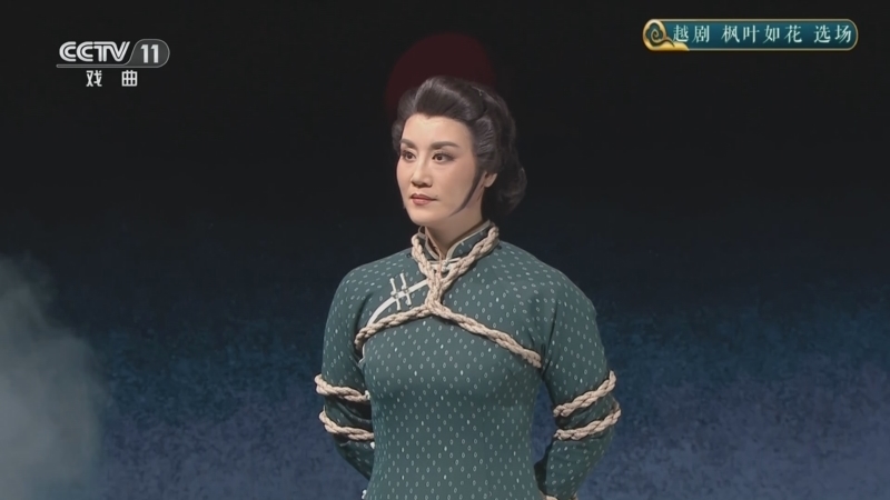 CCTV空中剧院 《CCTV空中剧院》 20260309 越剧《枫叶如花》选场