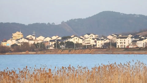 630新闻20210208