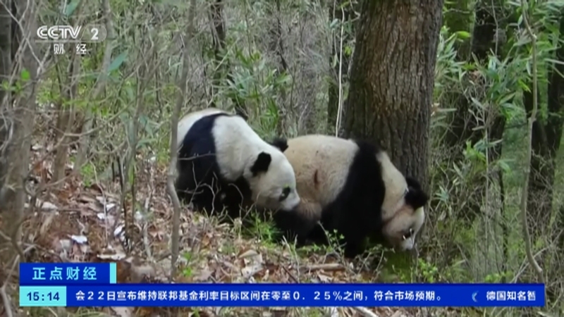 《正点财经》 20210923 15:00