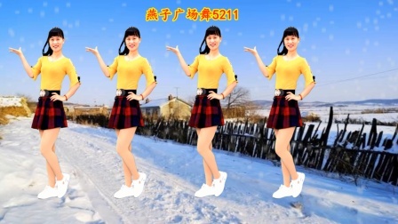 山东燕子广场舞《天空飘起了雪》寒冷的冬天，记得加衣