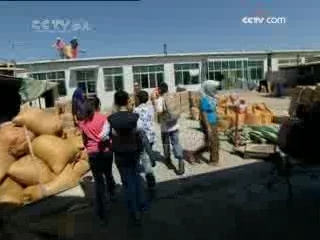 芝麻开门【央视】 芝麻开门 2008年 第182期