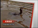远方的家 春江水暖到海安