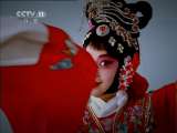 跟我学 《跟我学》 20110628 刘玉玲教唱河北梆子《蝴蝶杯》选段