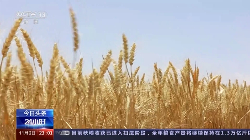 24小时 《24小时》 20231109