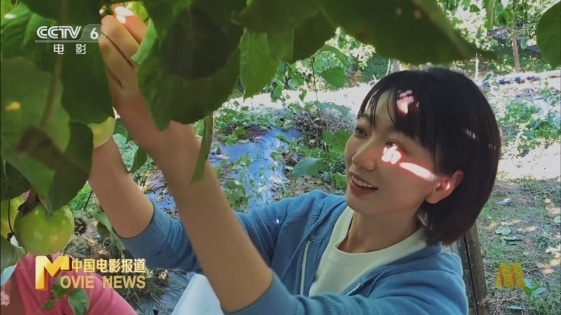 中国电影报道 《电影快讯》 20221125