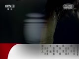 动物世界 《动物世界》 20180331 彩蛇之舞